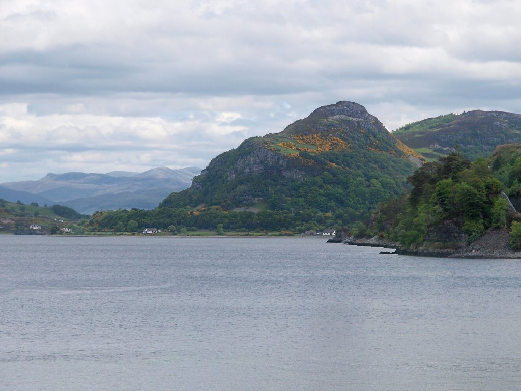 P6147777.jpg