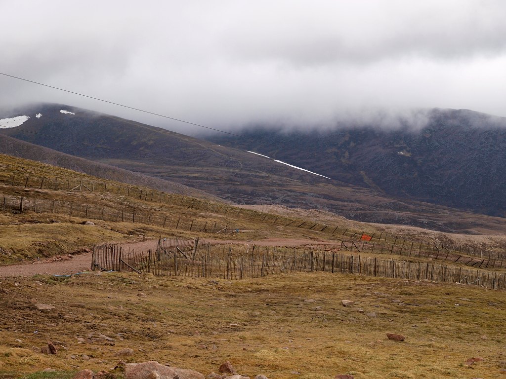 P6157848.jpg