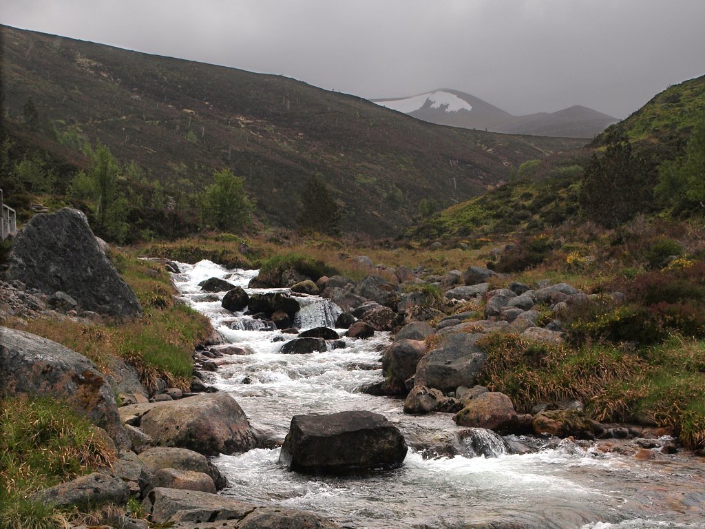 P6157867.jpg