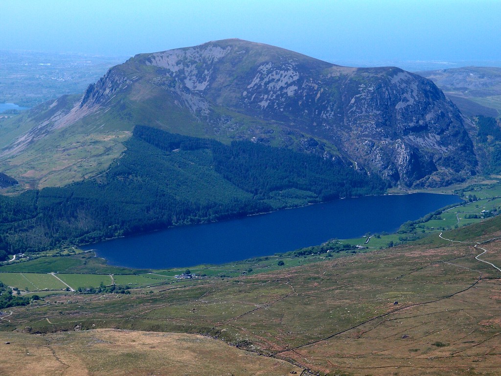 img00008.jpg