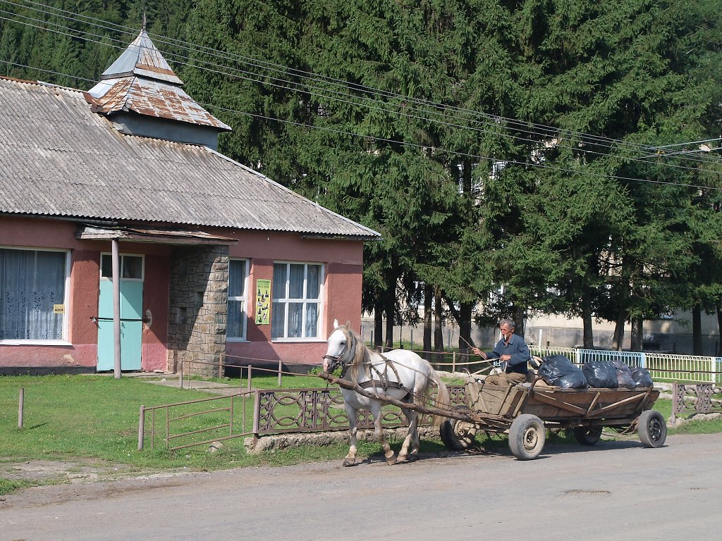 img00002.jpg