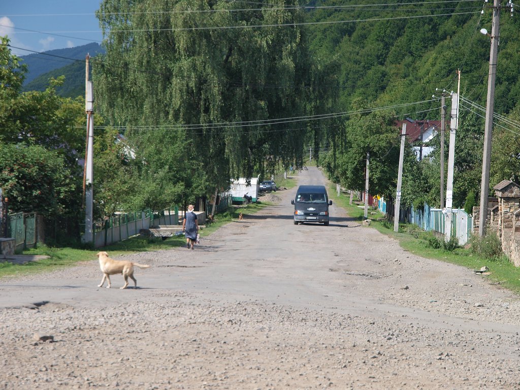 img00003.jpg