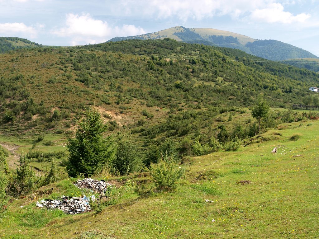 img00005.jpg