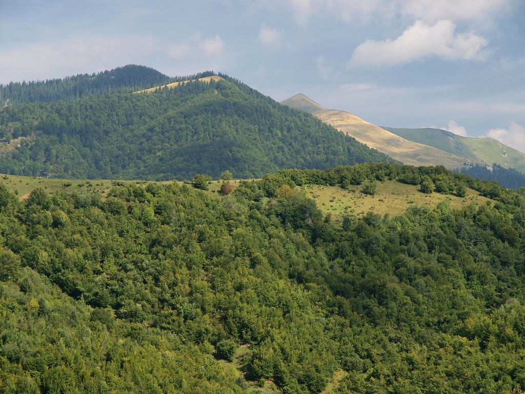 img00008.jpg