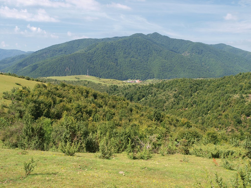 img00009.jpg