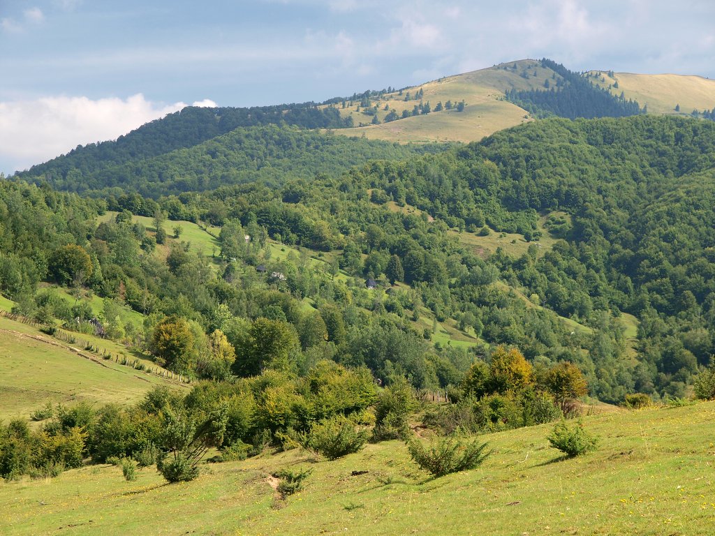 img00010.jpg