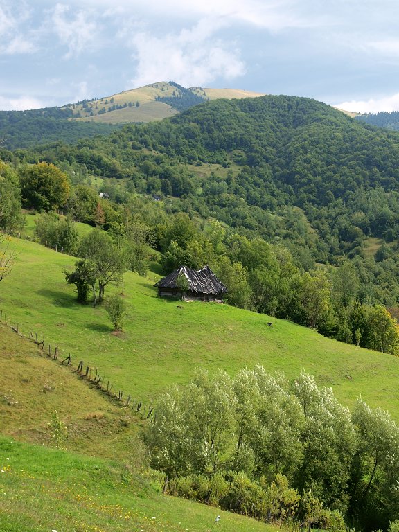 img00012.jpg