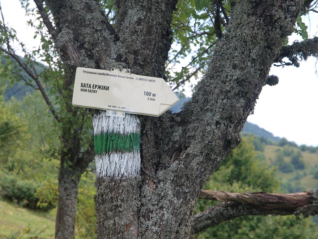 img00013.jpg