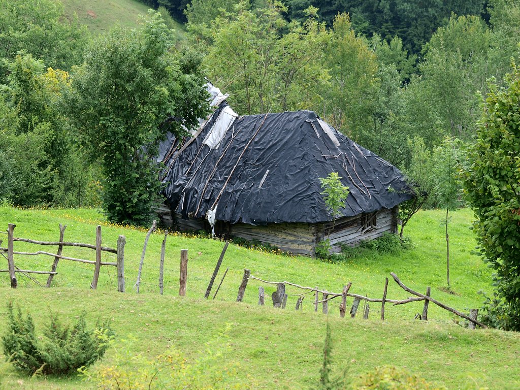 img00014.jpg