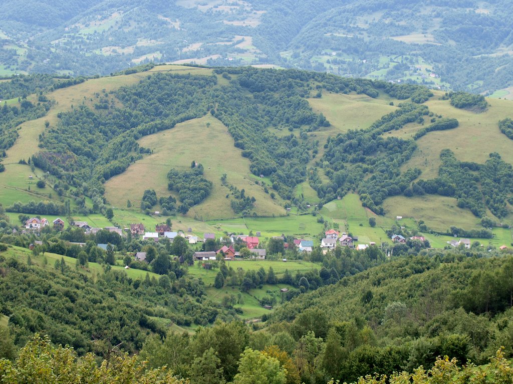 img00015.jpg