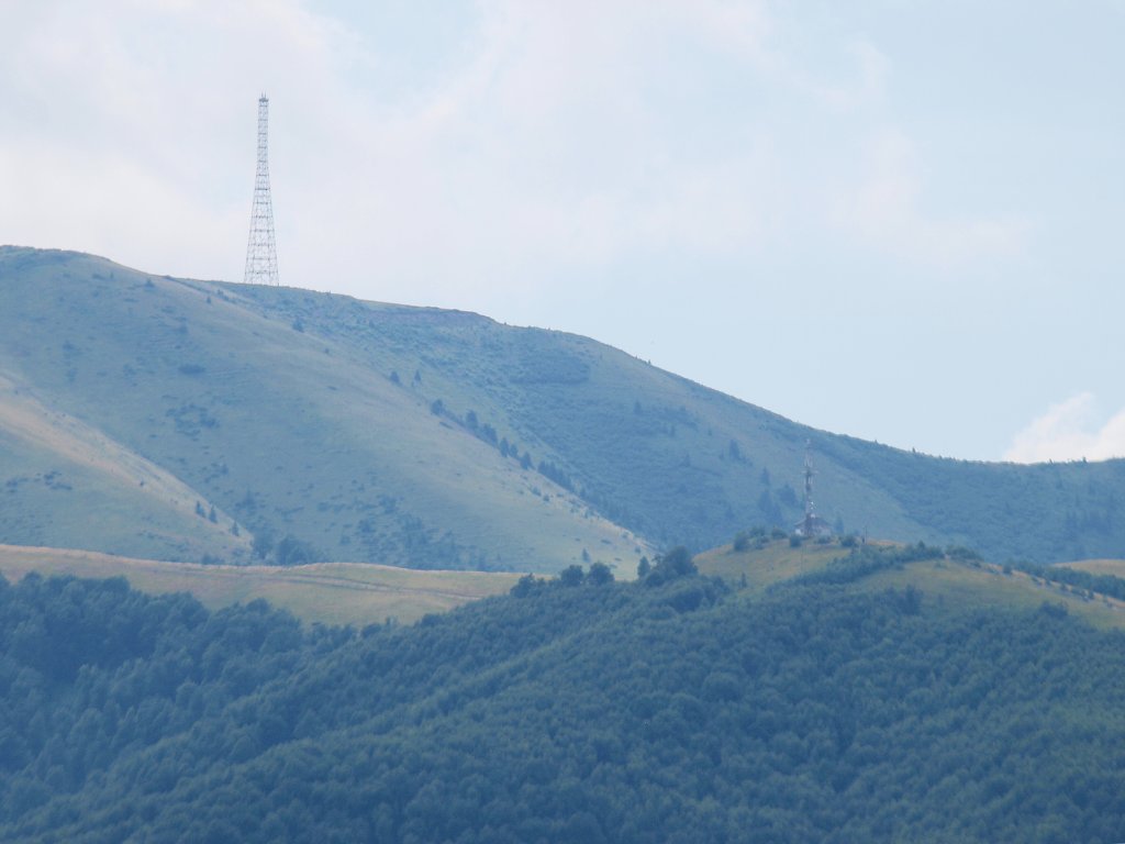 img00016.jpg