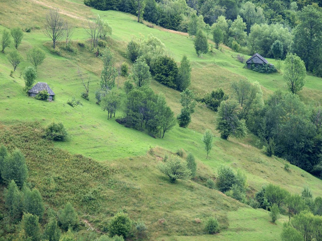 img00017.jpg