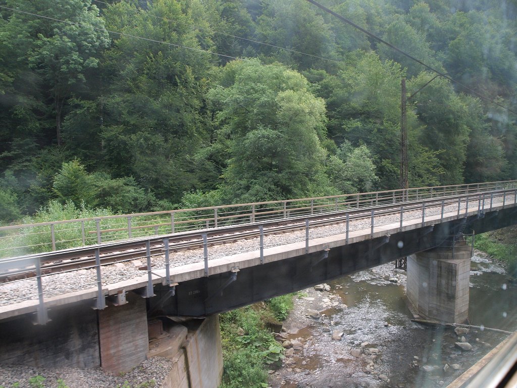 img00005.jpg