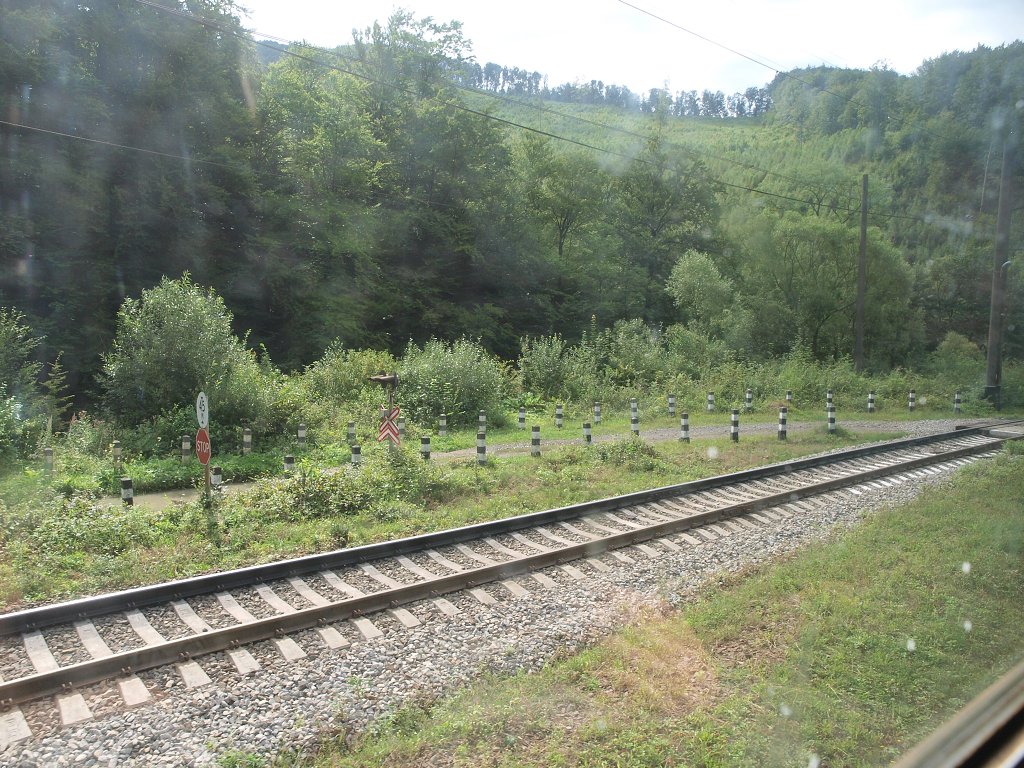 img00006.jpg