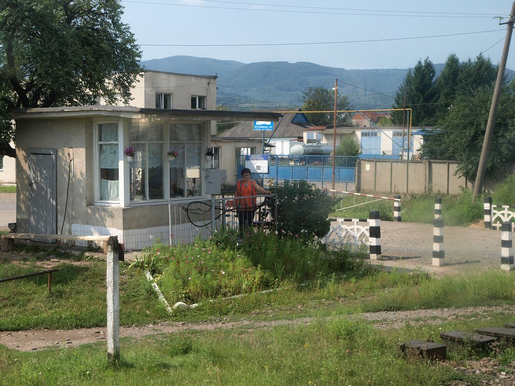 img00007.jpg