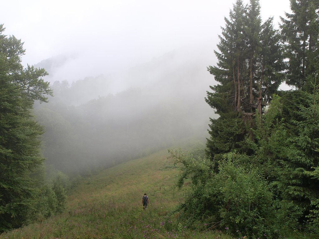 img00003.jpg