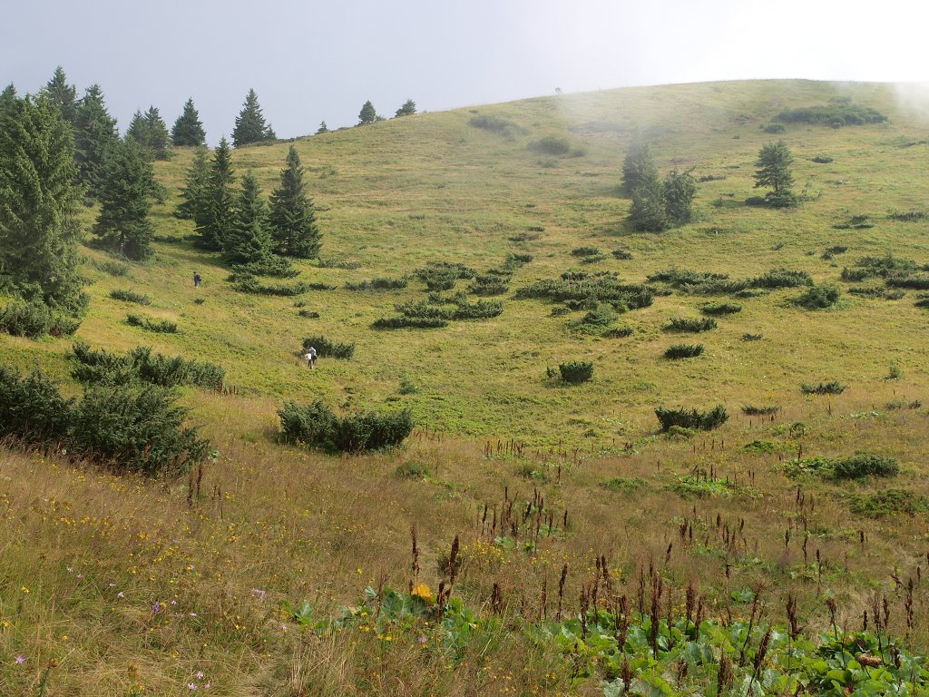 img00007.jpg