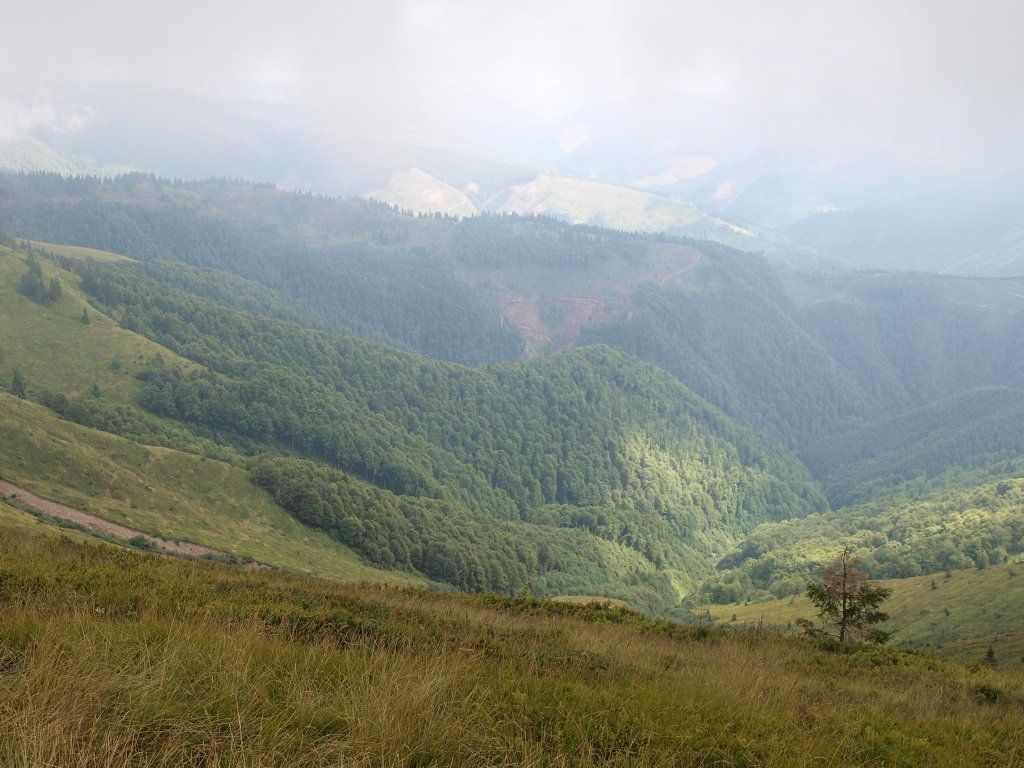 img00009.jpg