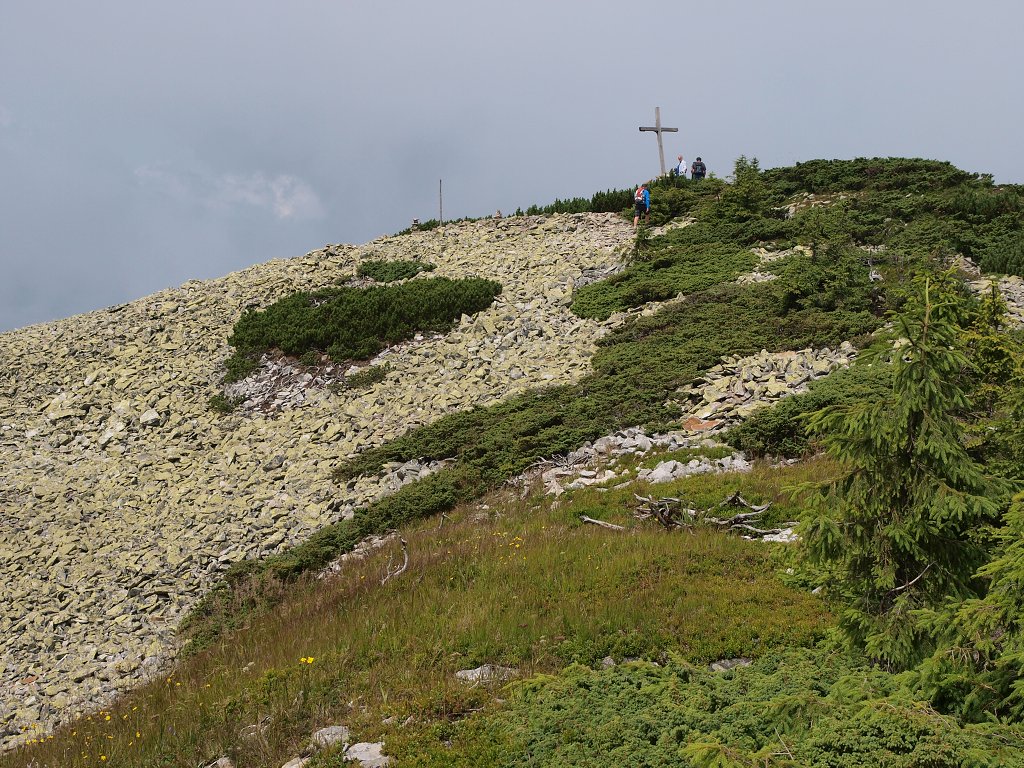 img00010.jpg