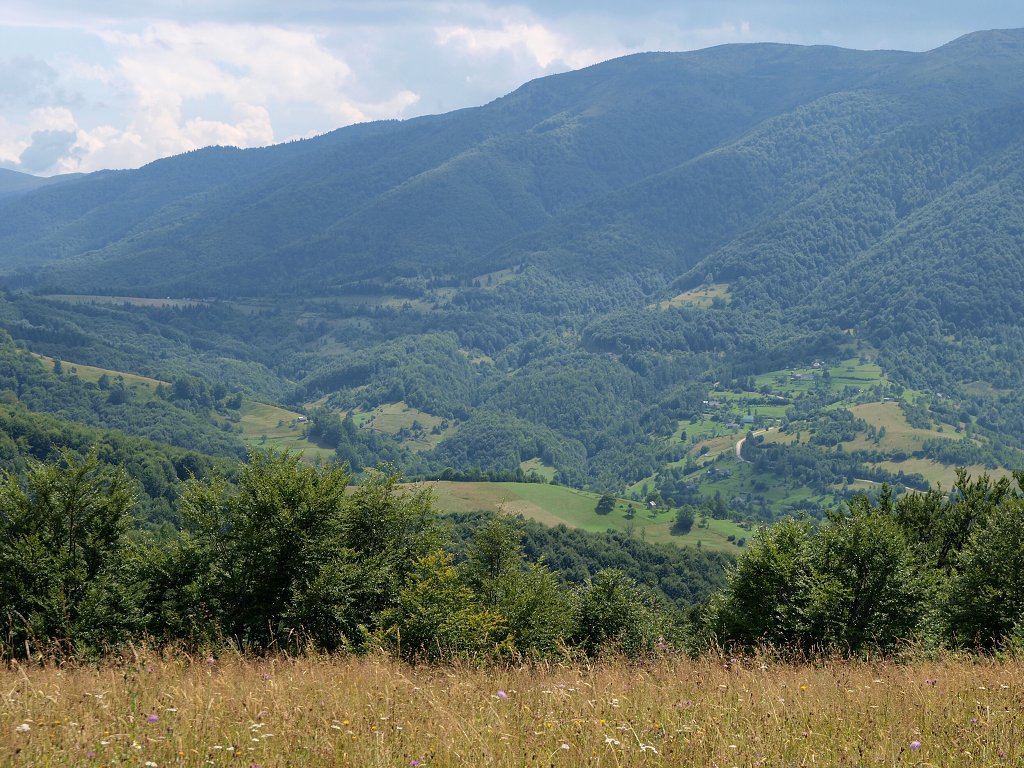 img00019.jpg