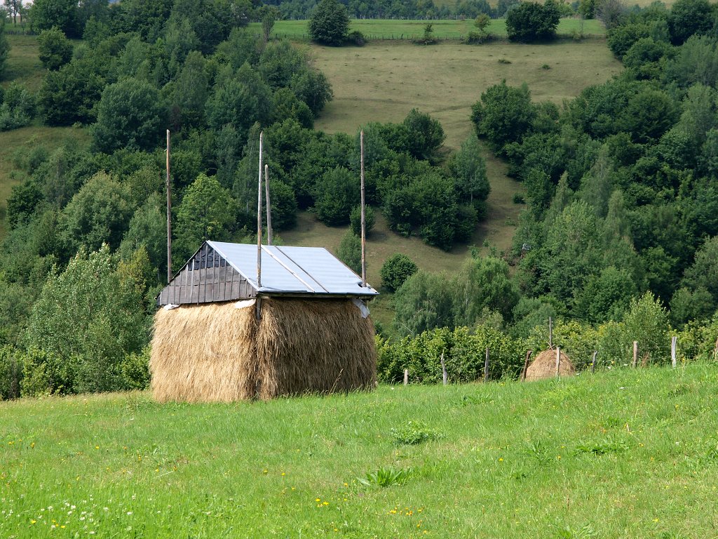 img00021.jpg