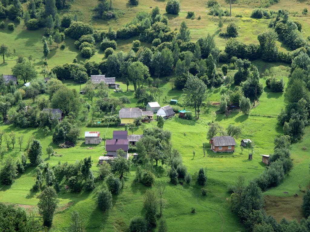img00022.jpg