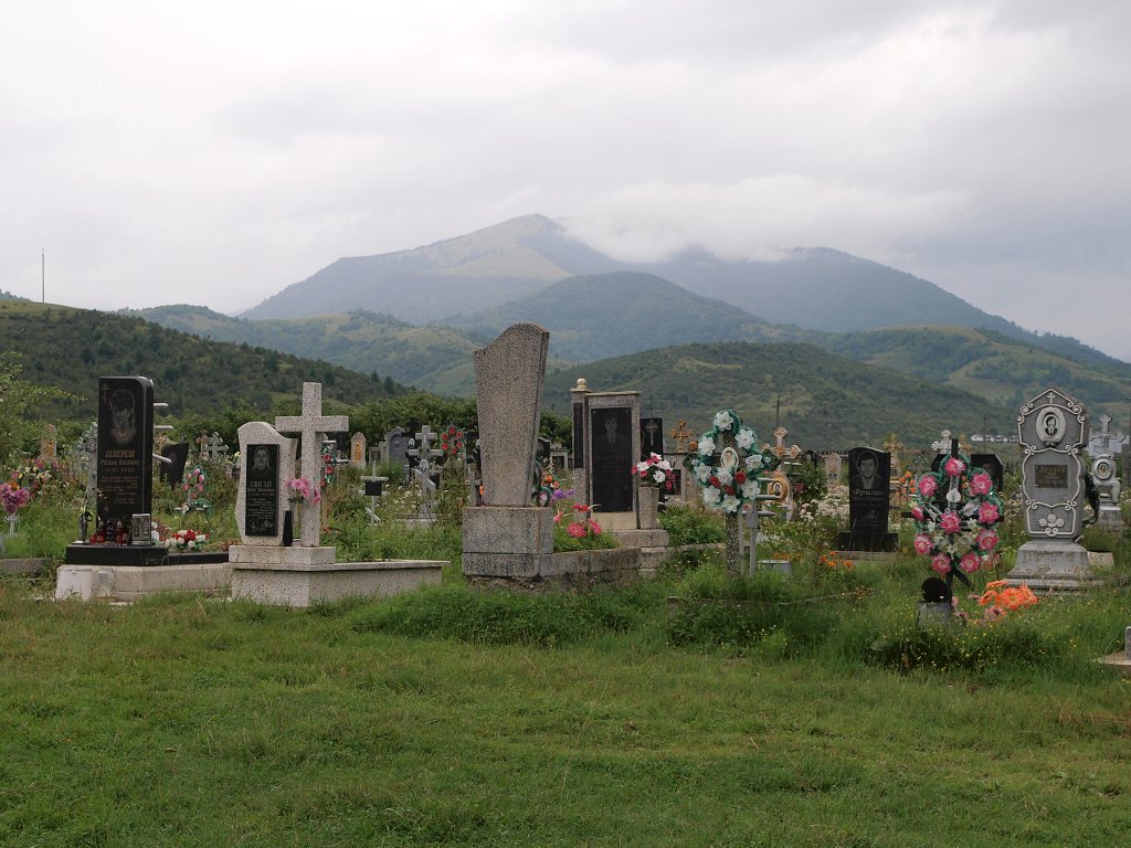 img00005.jpg