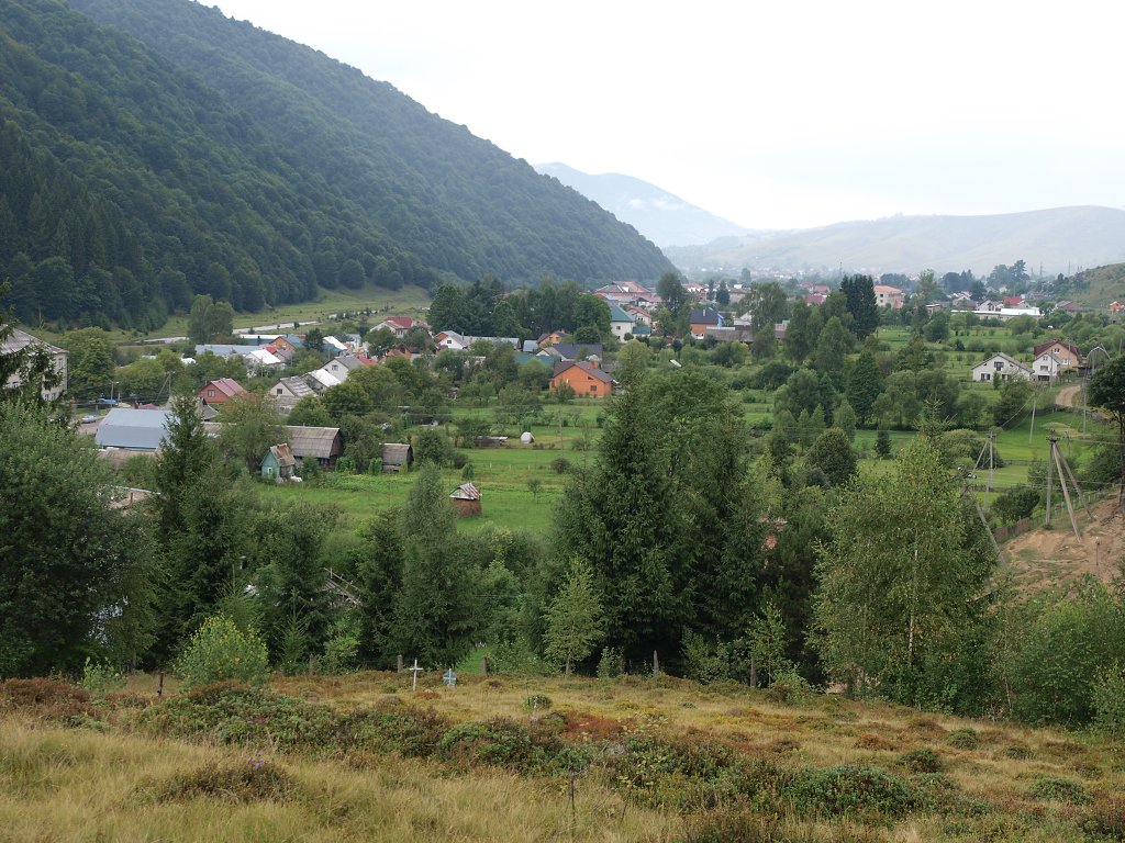 img00008.jpg