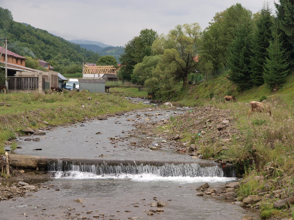 img00010.jpg