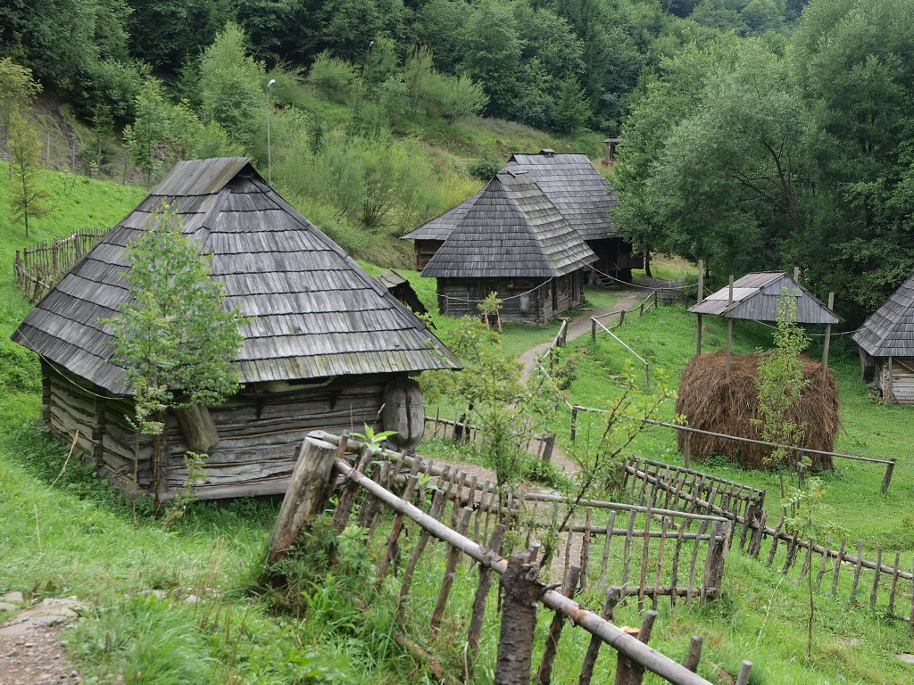 img00017.jpg