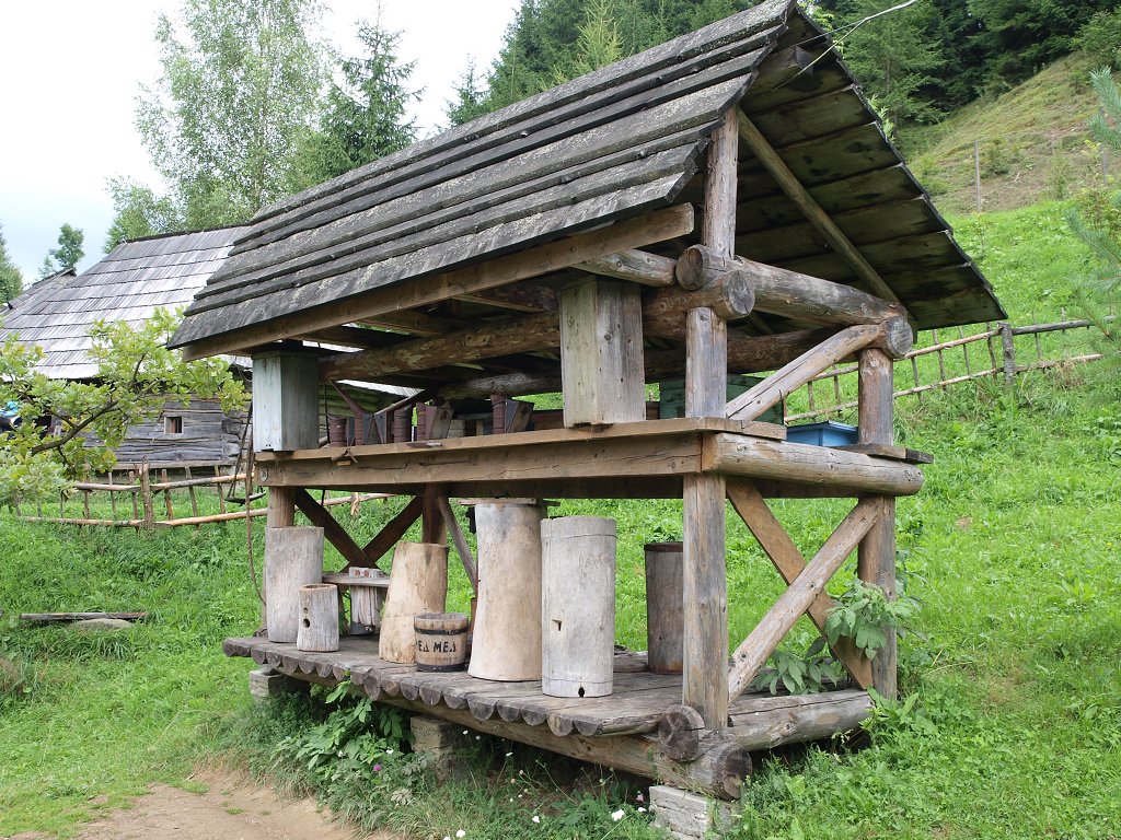 img00019.jpg