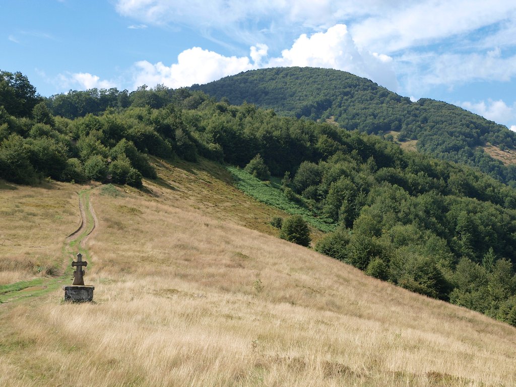img00019.jpg