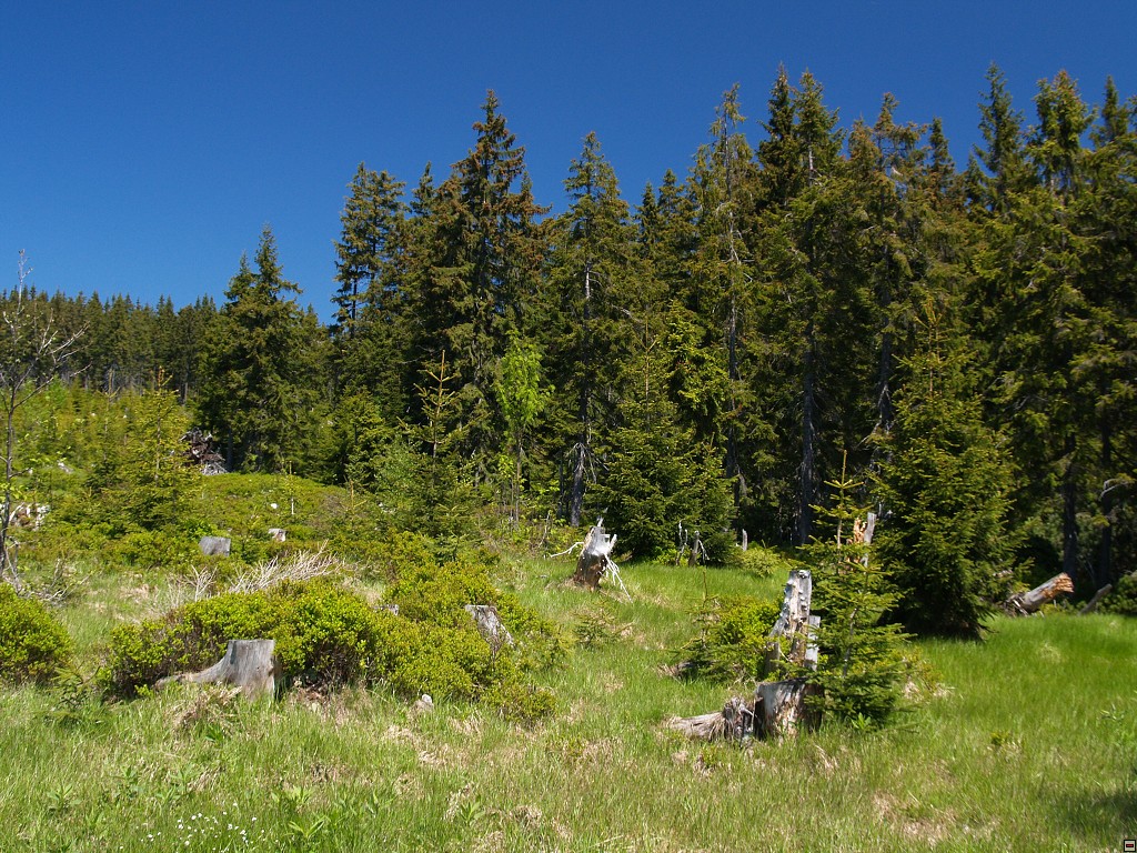 P1010052.jpg