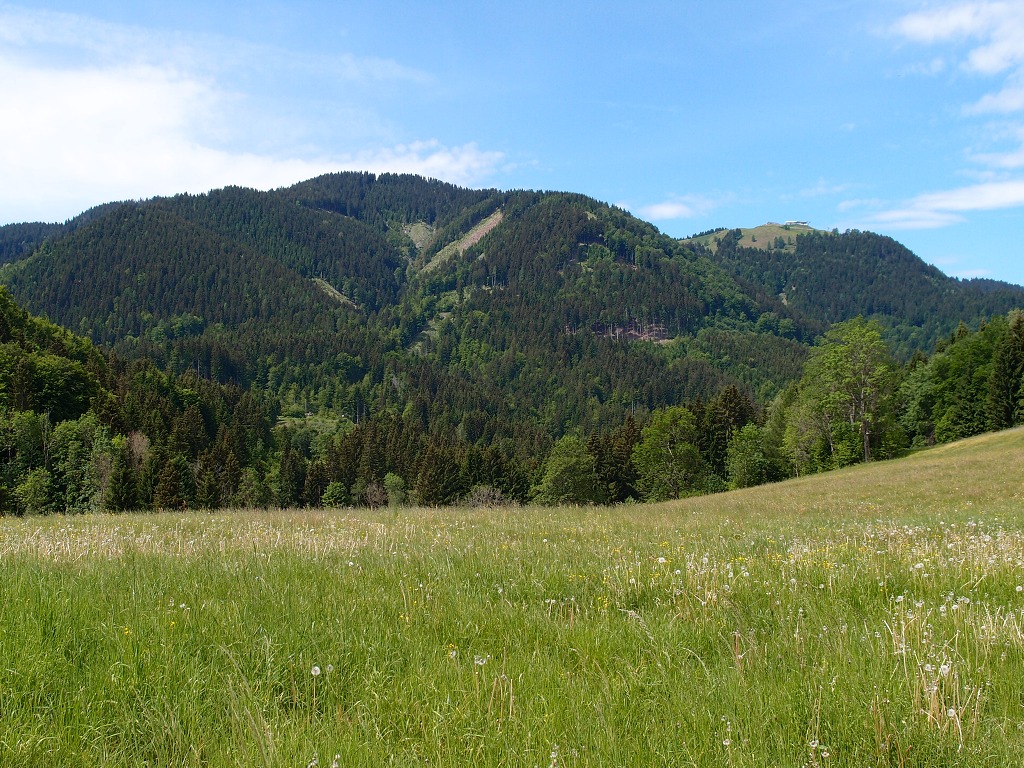 img00007.jpg