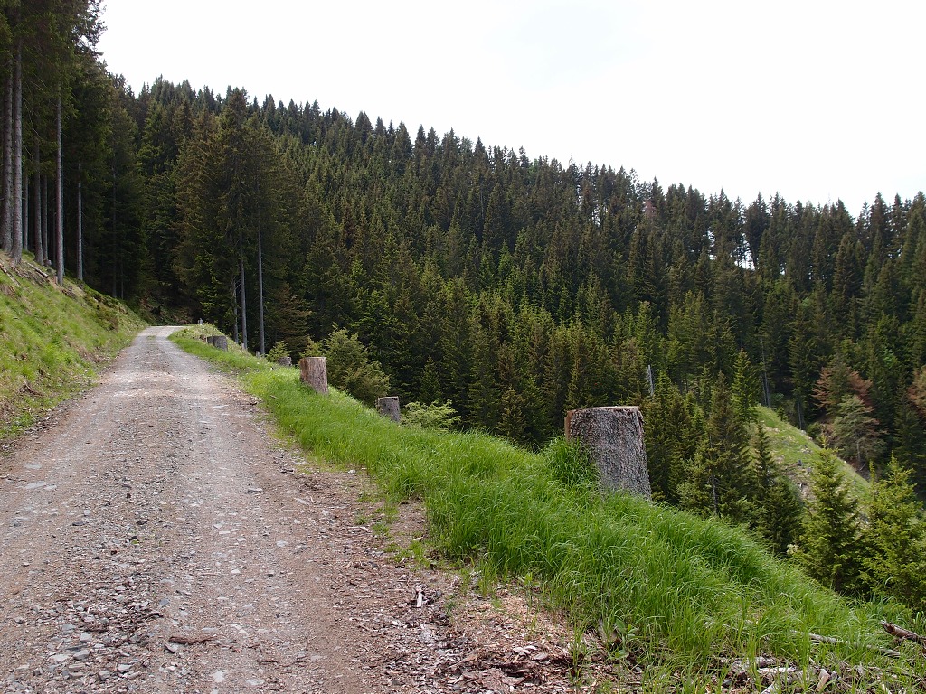 img00013.jpg