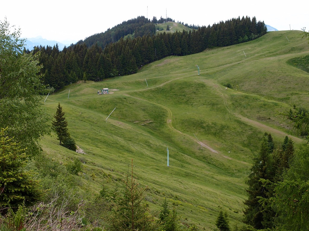 img00014.jpg