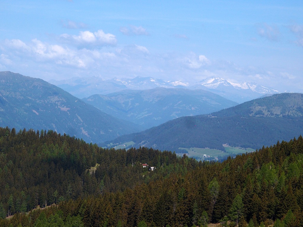 img00007.jpg
